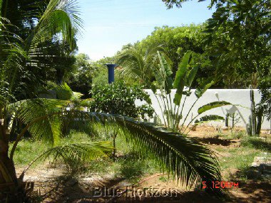 Casa Manfred garden.jpg