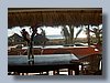 DR Chelonia gallery 6 SM.jpg