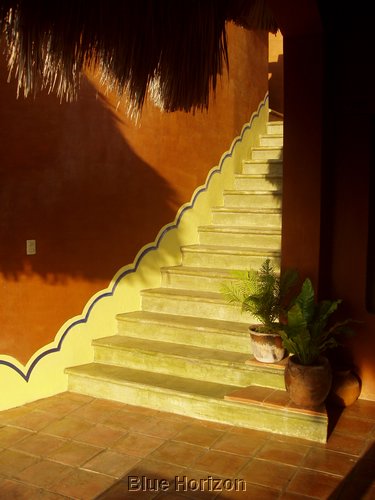 P1010157.JPG