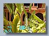 Castillo 026.jpg