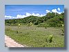 beach lot4.jpg