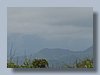SL370129.JPG