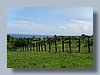 SL370120.JPG