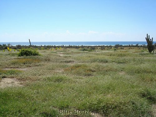 tamardino_6_view_to_beach.JPG