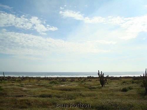 tamarindo_7.JPG