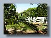 Casa Manfred garden.jpg