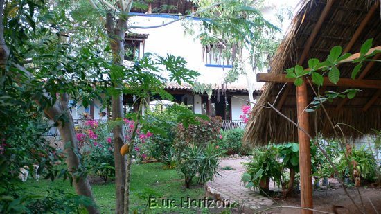 Casa Manuel garden.jpg
