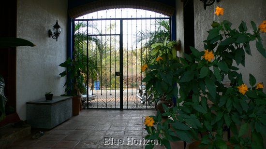 Casa Manuel patio.jpg