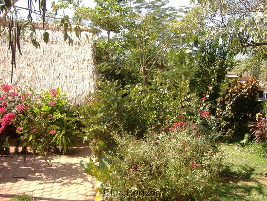 Casa Manuel view into garden.JPG