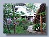 Casa Manuel garden.jpg