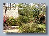 Casa Manuel view into garden.JPG
