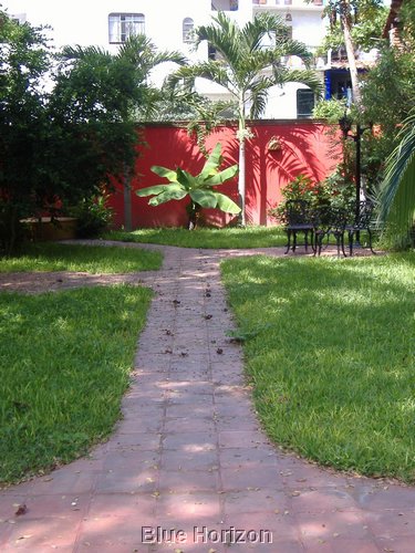 Hotel Hacienda Revolucion garden.jpg