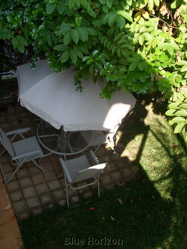 06.jpg