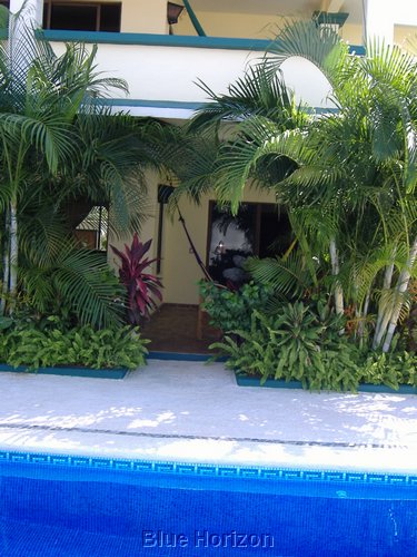 Casa Tim back.JPG
