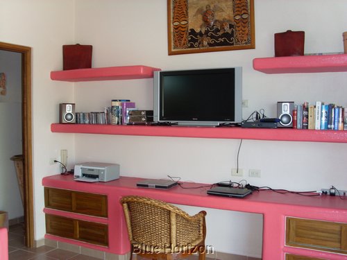 pink 029.jpg