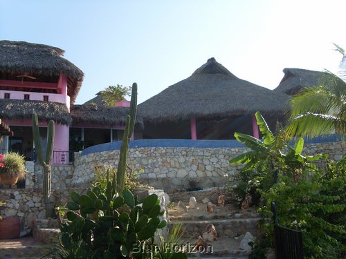 pink 040.jpg