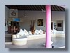 pink 016.jpg
