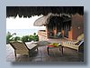 CLpalapa2.jpg