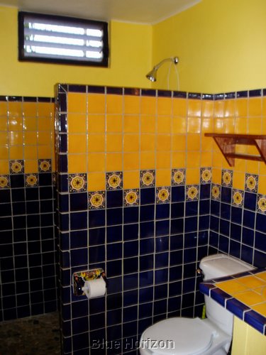 no 1 Shower.JPG