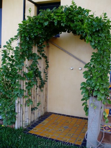 outside shower.JPG