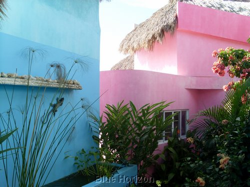 pink 166.jpg