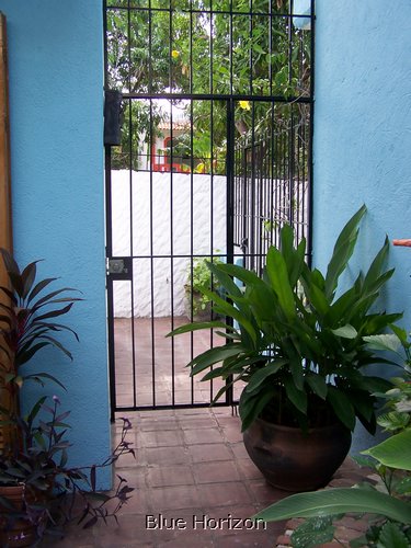 07.jpg