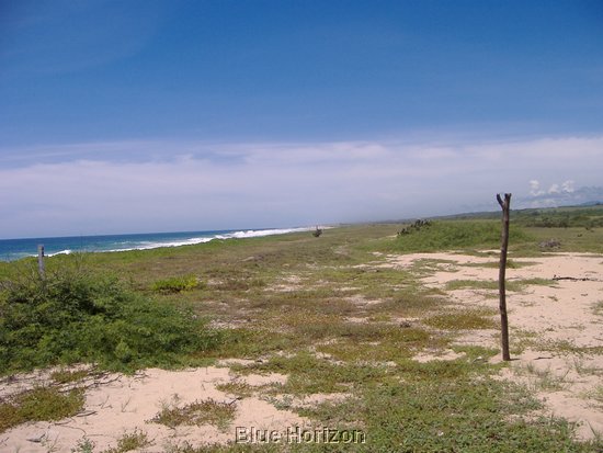 Beach lot2.jpg