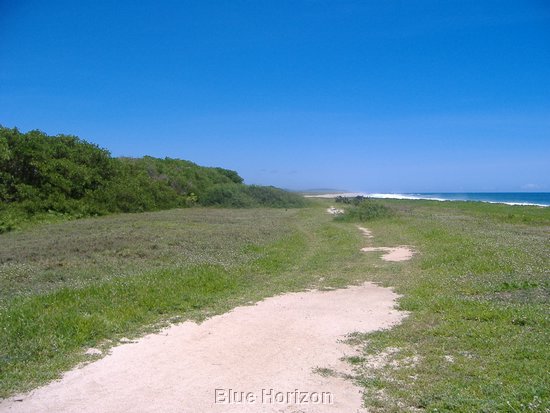 beach lot1.jpg