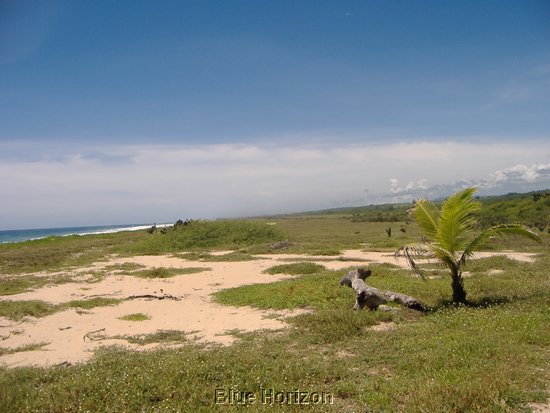 beach lot3.jpg