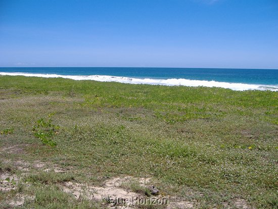 beach lot5.jpg