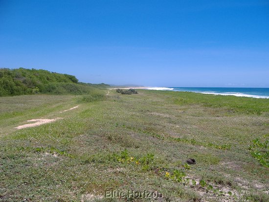 beach lot6.jpg