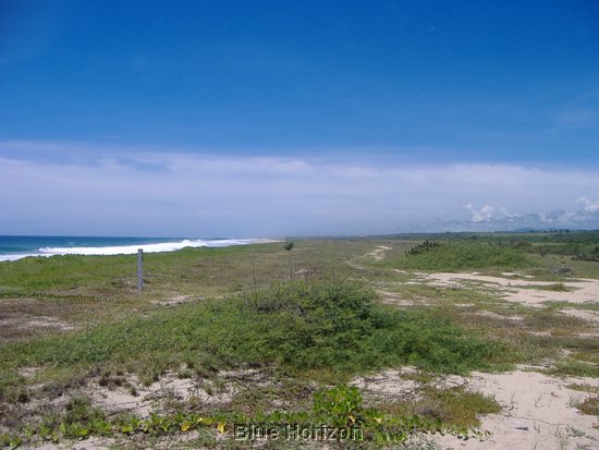 beach lot7.jpg