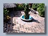 Hotel Hacienda Revolucion view from above.jpg