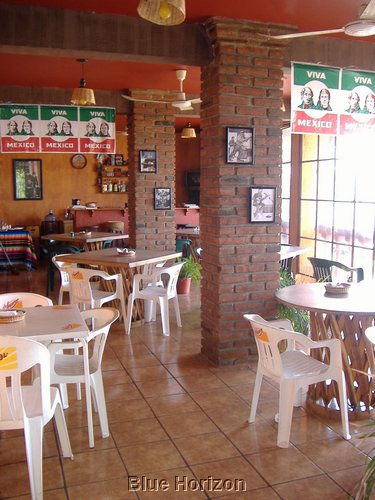 Hotel Vista Hermosa Restaurant Split Coconut.jpg