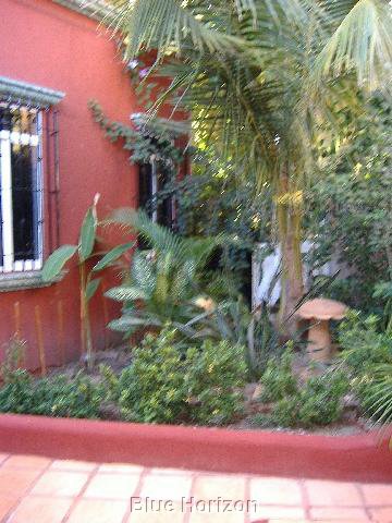 19little garden.jpg