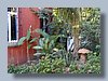 19little garden.jpg