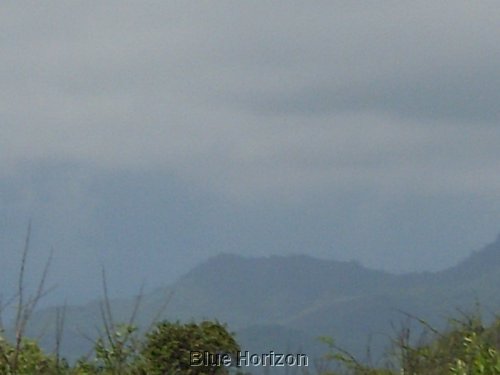 SL370129.JPG