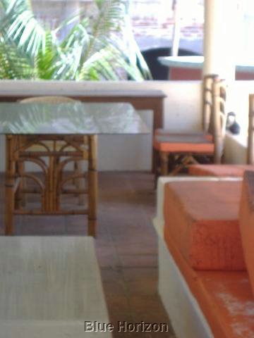 08palapa.jpg