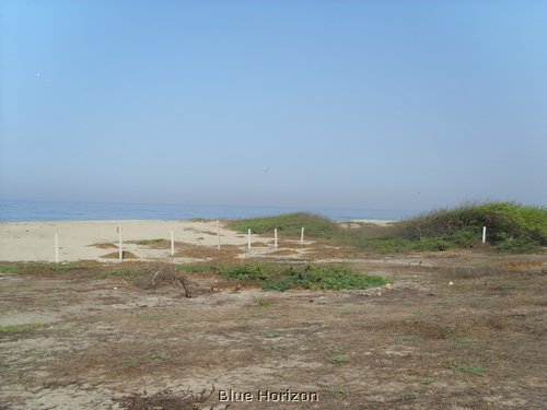 barra (6).JPG