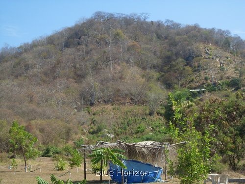 04.jpg