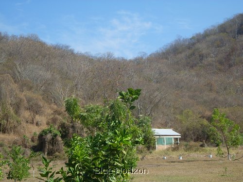 08.jpg