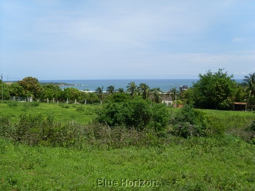 SL370118.JPG