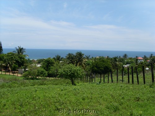 SL370119.JPG
