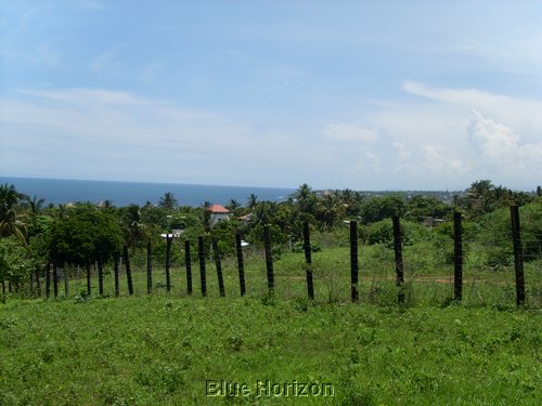 SL370120.JPG