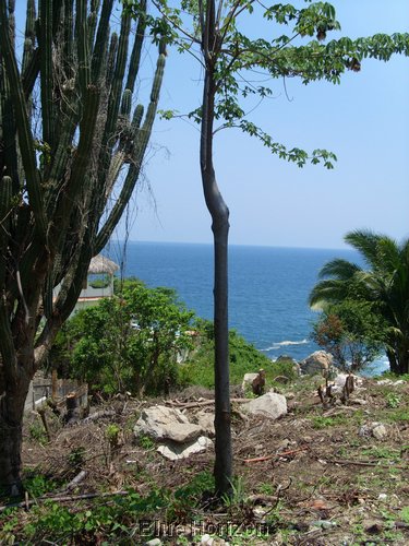 Manzanillo ocean6.JPG