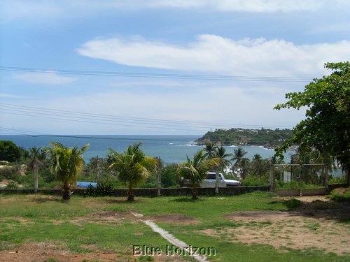 SL370130.JPG