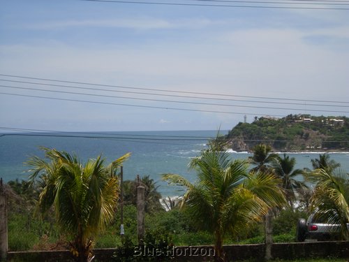 SL370134.JPG