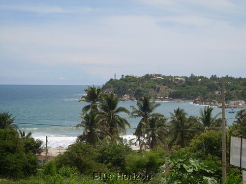 SL370135.JPG