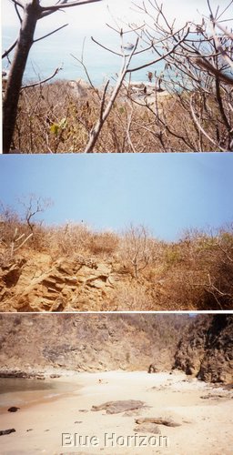 img004.jpg