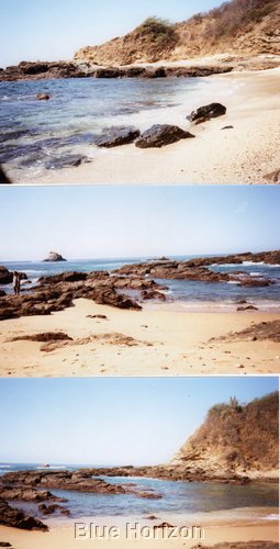 img005.jpg